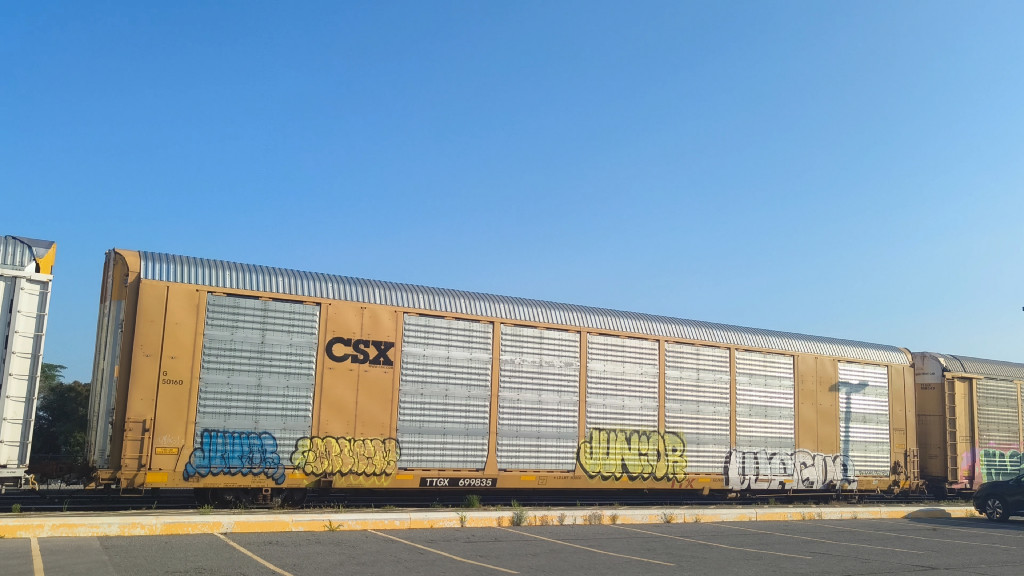 CSX G50160 (Body) TTGX 699835 (Flat)